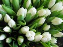 Графік роботи на 8-10 березня